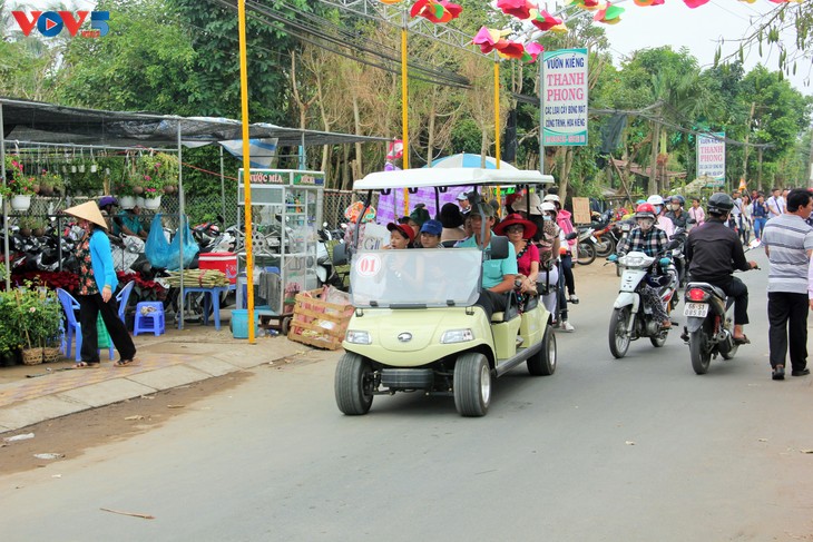 Sắc xuân tràn ngập làng hoa Sa Đéc - ảnh 7