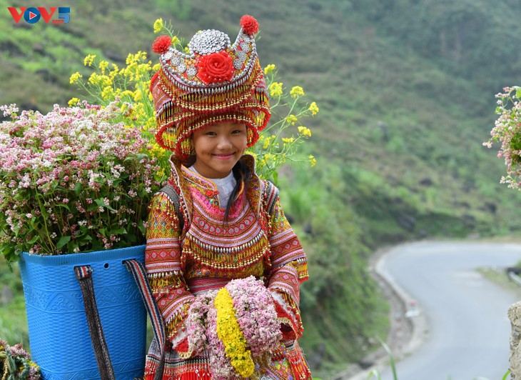 Kiến tạo tầm nhìn và kết nối để biến Di sản Hà Giang thành thương hiệu du lịch - ảnh 2