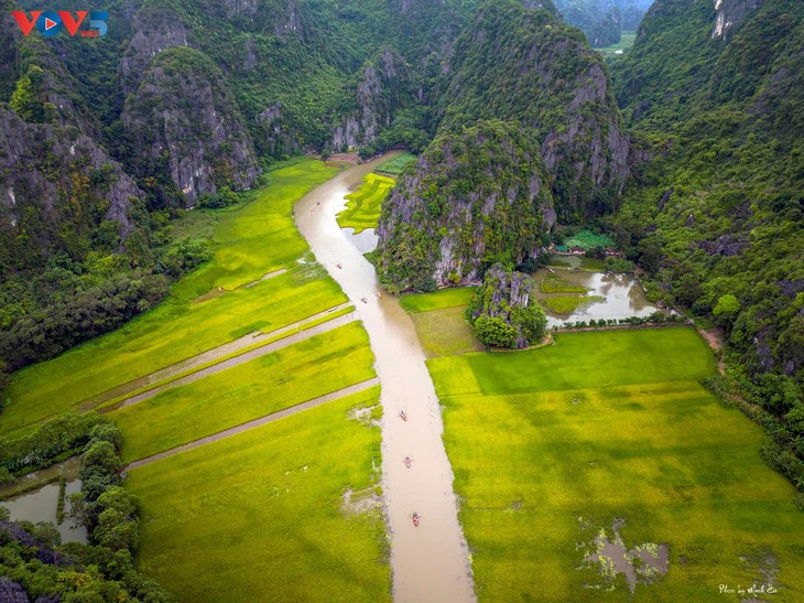 Vẻ đẹp Tam Cốc mùa lúa chín - ảnh 3