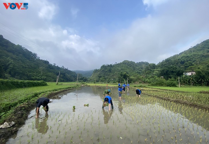 Vietnam vela por el permanente cumplimiento de la política de gratitud hacia personas con méritos revolucionarios - ảnh 2