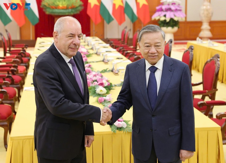 Líder partidista de Vietnam y presidente de Hungría abordan medidas para desarrollar nexos binacionales - ảnh 1