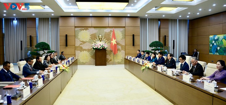 Líder parlamentario de Vietnam se reúne con vicepresidente del Consejo de Representantes Locales de Indonesia - ảnh 2