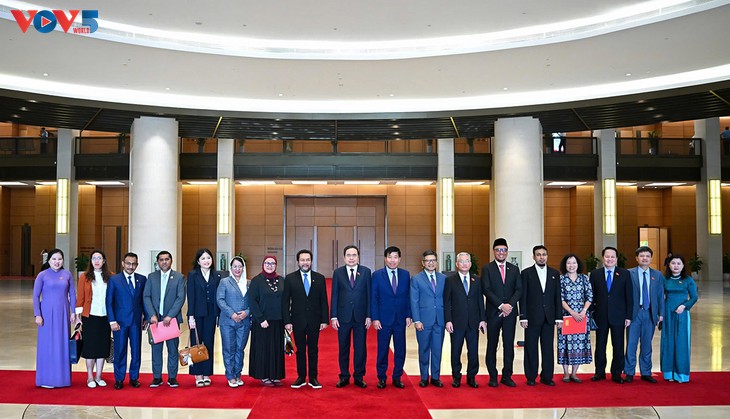 Líder parlamentario de Vietnam se reúne con vicepresidente del Consejo de Representantes Locales de Indonesia - ảnh 3