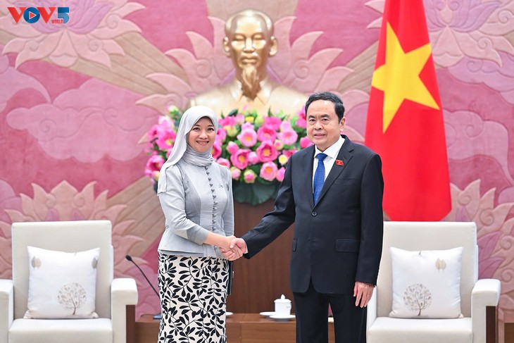 Vietnam, miembro activo y responsable de la AIPA - ảnh 1