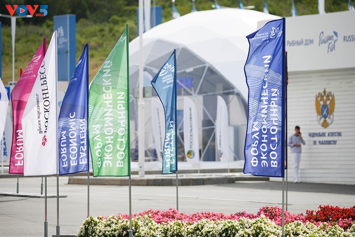 Unos 70 países confirman su participación en el Décimo Foro Económico Oriental en Rusia - ảnh 1