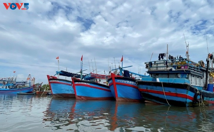 Autoridades y pescadores de Ciudad Ho Chi Minh decididos a acabar con la pesca INDNR - ảnh 3