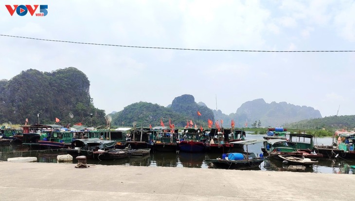 Localidades vietnamitas decididas a aplicar medidas para levantar la tarjeta amarilla de la CE a la pesca - ảnh 2