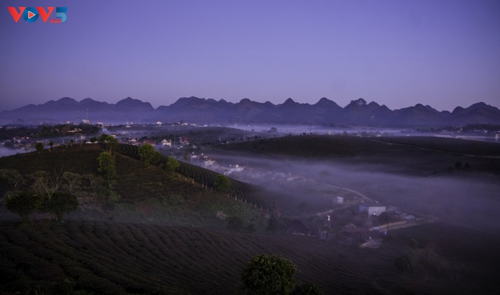 Bình minh sương, cõi mộng trên thảo nguyên Mộc Châu - ảnh 1