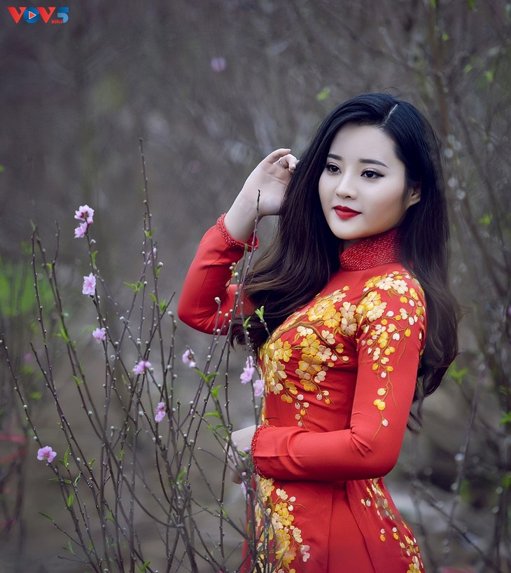 Áo dài mùa xuân - ảnh 1