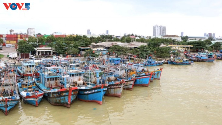 សុក្រិតហេដ្ឋារចនាសម្ព័ន្ធមុខរបរនេសាទ៖ តំណតភ្ជាប់ដ៏សំខាន់មួយក្នុងការប្រយុទ្ធប្រឆាំងនឹងការនេសាទខុសច្បាប់ IUU - ảnh 1