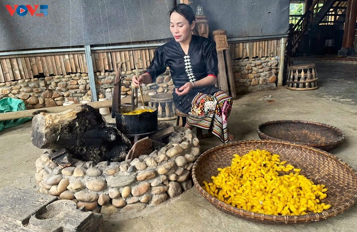 ភូមិសិប្បកម្មត្បាញក្រណាត់ចរបាប់ប្រពៃណីដ៏វិសេសវិសាល របស់ក្រុមជនជាតិថៃនៅឃុំហ័រទៀន - ảnh 2