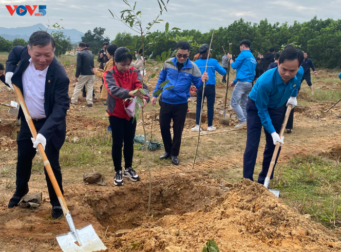 Les provinces vietnamiennes célèbrent la tradition de plantation d’arbres - ảnh 1