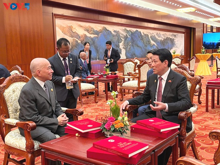 Luong Cuong multiplie les rencontres bilatérales à Pékin - ảnh 1