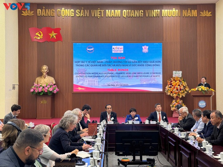 Renforcer la coopération franco-vietnamienne dans le domaine de la santé  - ảnh 3