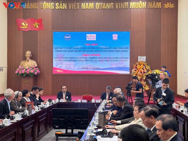 Renforcer la coopération franco-vietnamienne dans le domaine de la santé  - ảnh 2