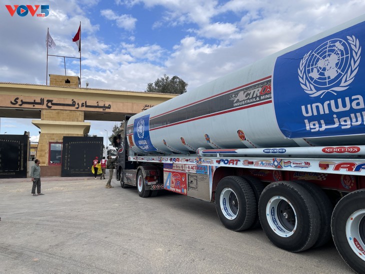 L'Égypte achemine 10.000 tonnes d'aide humanitaire à Gaza - ảnh 1