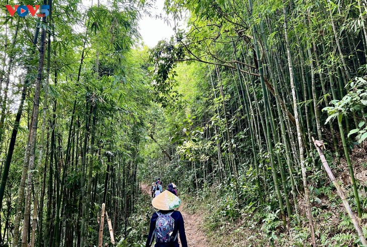 Ta Van, du côté des sentiers de montagne - ảnh 1