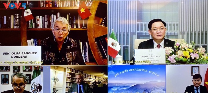 Top legislators of Vietnam, Mexico hold online talks - ảnh 1