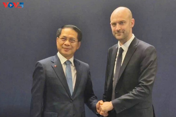 France highly values Vietnam's role on the international stage - ảnh 1