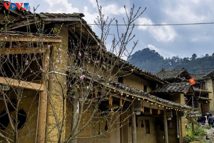 ฤดูใบไม้ผลิ – ช่วงเวลาที่บรรยากาศและทิวทัศน์จังหวัดห่ายางสวยที่สุด - ảnh 7