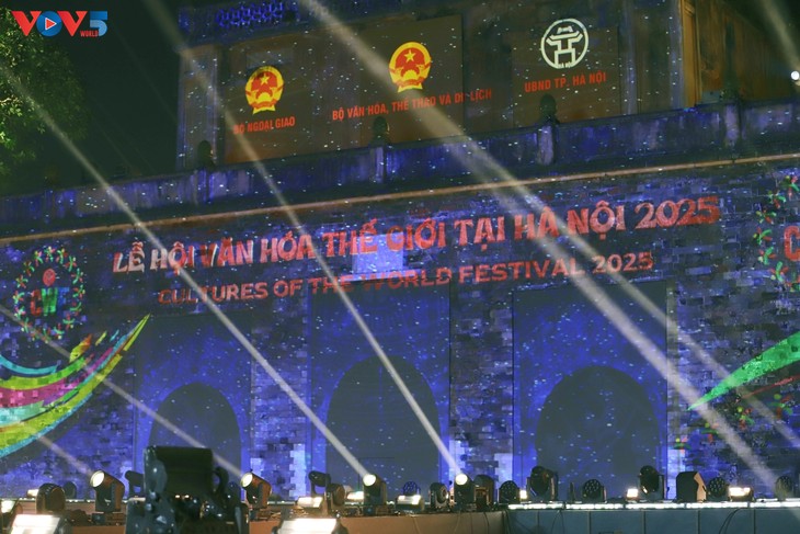 Вьетнам — избранная страна - ảnh 12