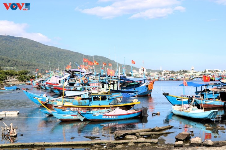 ពីការសន្យាប្រយុទ្ធប្រឆាំង IUU រហូតដល់ការអភិវឌ្ឍ​របរ​នេសាទប្រកបដោយចីរភាព និងមានទំនួលខុសត្រូវ - ảnh 2