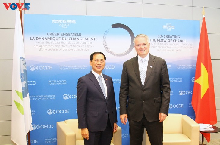 OECD đánh giá cao Việt Nam trong vai trò Đồng Chủ trì Chương trình Đông Nam Á - ảnh 1