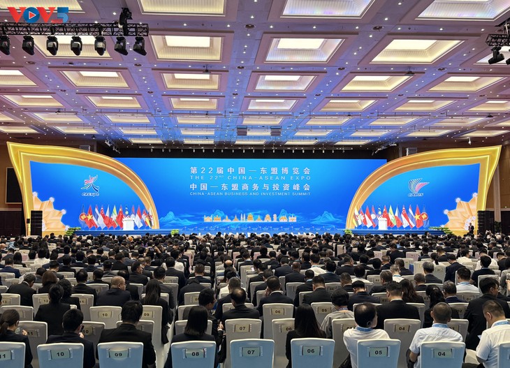 Khẳng định thương hiệu hàng Việt tại Hội chợ Trung Quốc - ASEAN - ảnh 3