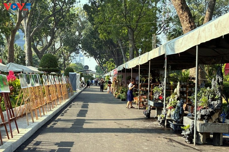 “Nghe lá hoa kể chuyện” - Khoảng lặng xanh giữa nhịp sống đô thị - ảnh 1