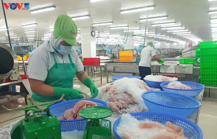 Đồng Tháp: Hoạt động xuất khẩu hàng hóa khởi sắc từ đầu năm - ảnh 1