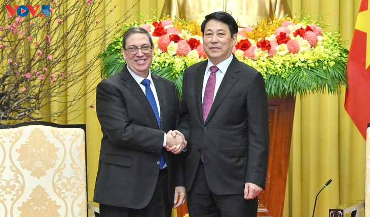 Chủ tịch nước Lương Cường tiếp Đặc phái viên Đảng, Nhà nước Cuba Bruno Rodríguez Parrilla - ảnh 1