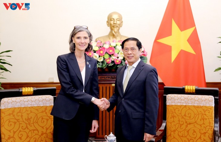 UNDP ช่วยเหลือเวียดนามในการฟื้นฟูเศรษฐกิจ - ảnh 1