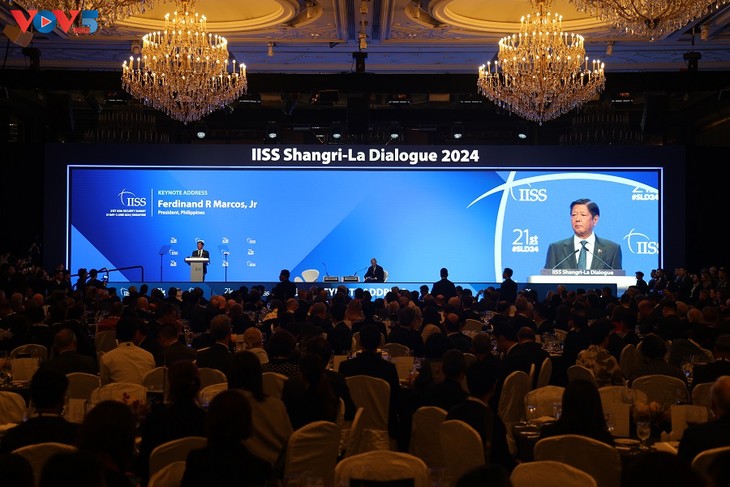 21st Shangri-La Dialogue opens in Singapore  - ảnh 1