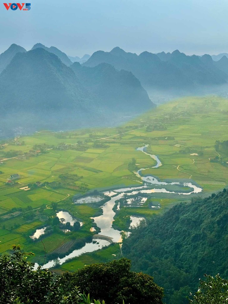 Yellow season in Bac Son - ảnh 2