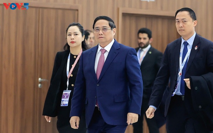 PM: Vietnam ready to cooperate with BRICS, international community to build a better world - ảnh 1