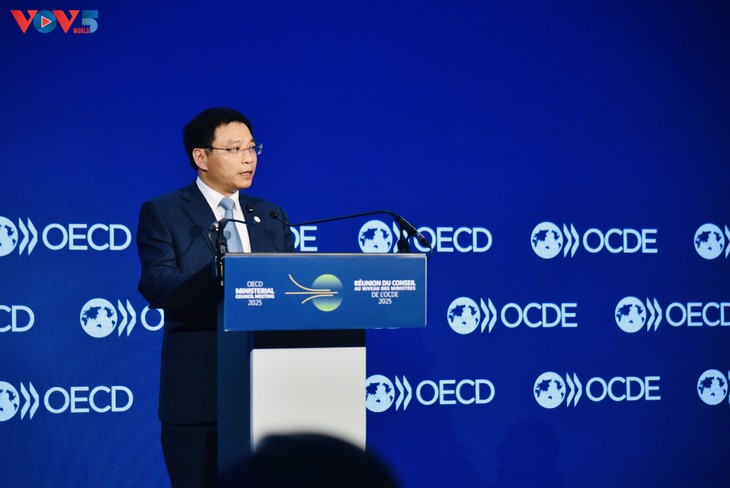 OECD Secretary General praises Vietnam's role in Southeast Asia Regional Program  - ảnh 2