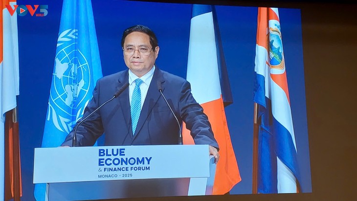 Vietnam ready to join global efforts to protect the ocean - ảnh 1