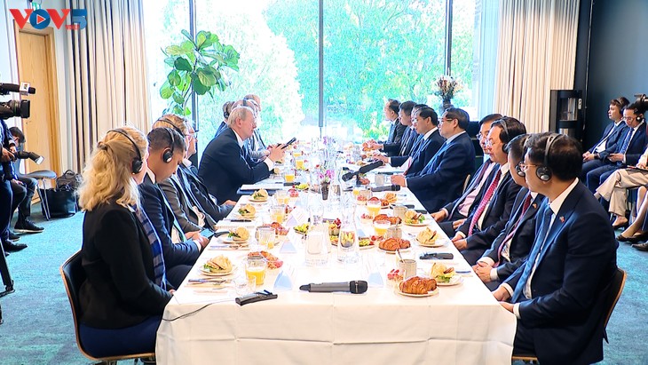 Vietnam, Sweden enjoy great potential for stronger investment ties - ảnh 1