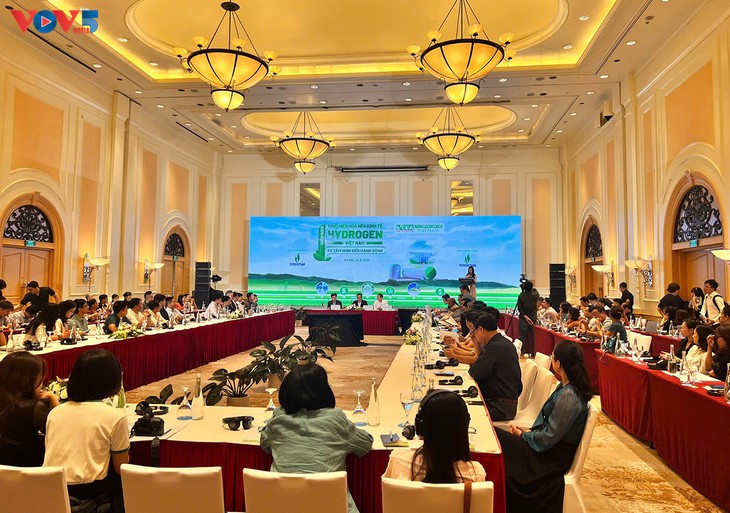 Vietnam pushes for hydrogen economy - ảnh 2