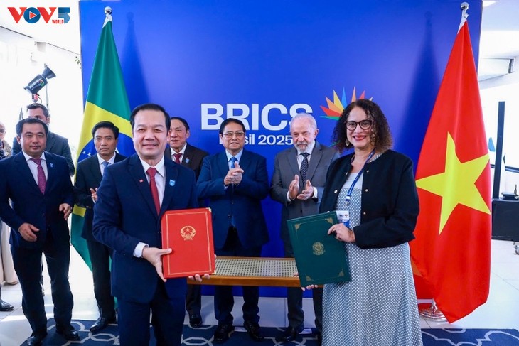 Vietnamese Prime Minister holds talks with Brazilian President in Rio de Janeiro - ảnh 2