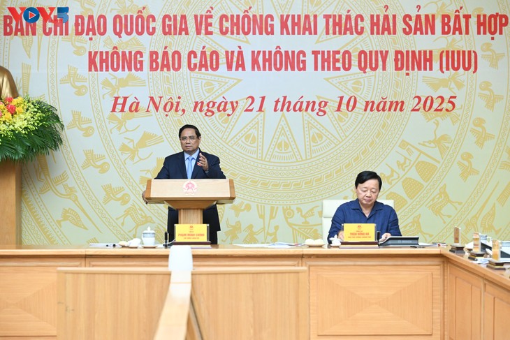 Prime Minister urges for concrete action to lift EC’s IUU “Yellow Card” - ảnh 1