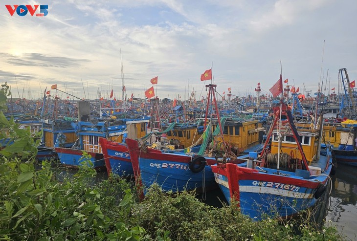 Coastal provinces brace for Storm Kalmaegi - ảnh 1