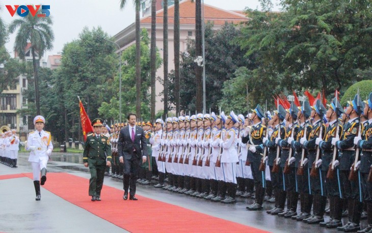 Vietnam, Slovakia aim to enhance defense cooperation - ảnh 1