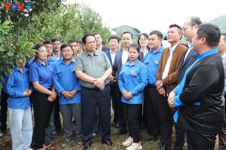 PM stresses importance of effective planning for macadamia cultivation in Dien Bien province - ảnh 1