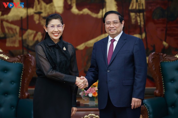 Vietnam, Thailand promote Comprehensive Strategic Partnership - ảnh 1