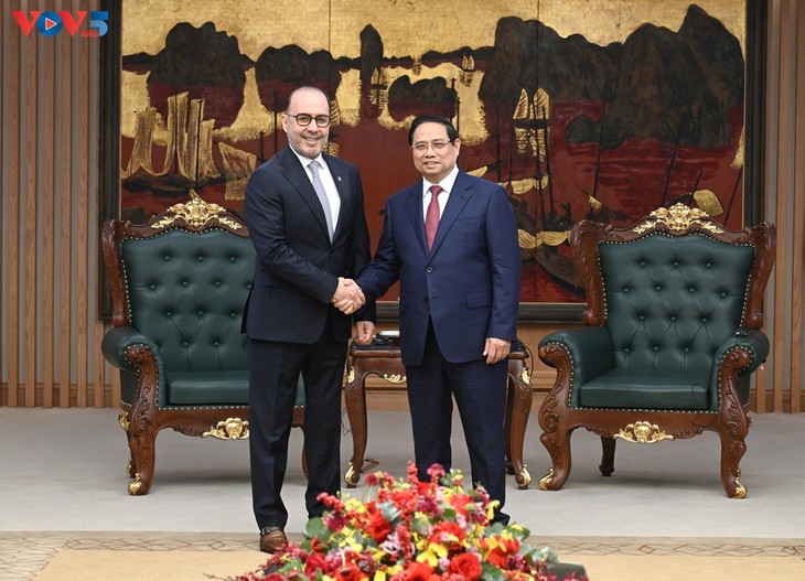 Prime Minister calls for stronger Vietnam-Qatar energy cooperation - ảnh 1
