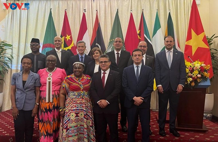 Vietnam siempre concede importancia a la promoción y profundización de relaciones de cooperación con África  - ảnh 1