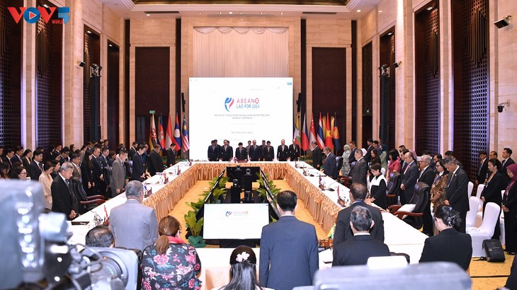 ASEAN refuerza la promoción del Tratado de SEANWFZ y los derechos humanos - ảnh 1