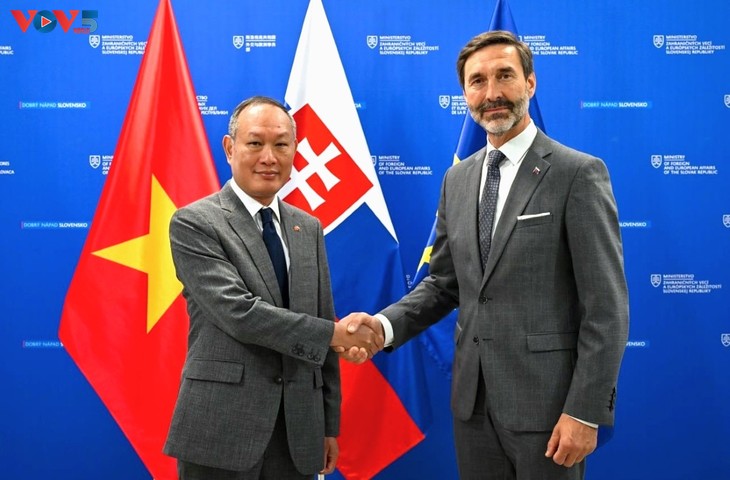 Eslovaquia considera a Vietnam uno de sus socios más importantes en Asia - ảnh 1
