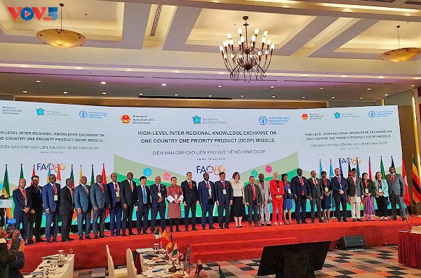 Vietnam propone impulsar la cooperación Sur–Sur para desarrollar el Programa OCOP - ảnh 1